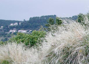 Paysages