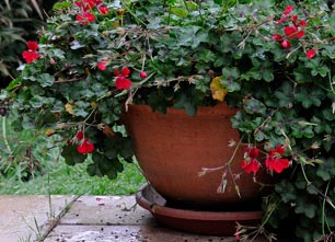 Jardins