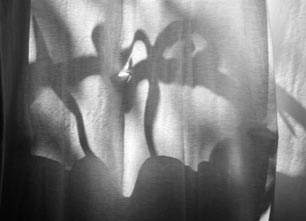 Voilages