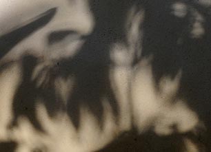 Ombres végétales