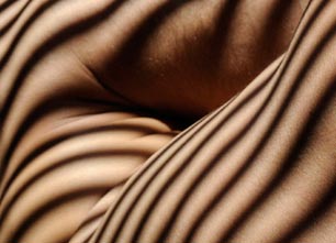 Des ombres pour tout vêtement