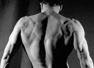 Back